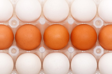 Image showing Eggs in box