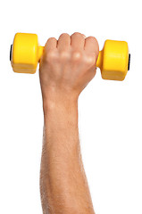 Image showing Hand with dumbbells