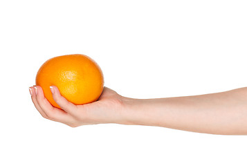 Image showing Hand with grapefruit