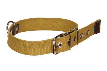 Image showing Dog collar