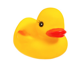 Image showing Rubber duck