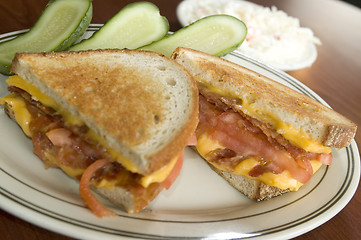 Image showing grilled cheese sandwich