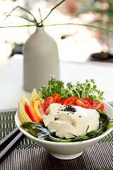 Image showing Fresh tofu salad