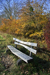 Image showing Walking through the park