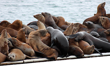 Image showing Group hug