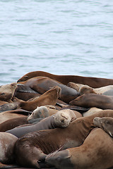 Image showing Group hug