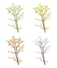 Image showing Four seasons