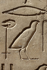 Image showing Closeup of ancient egypt images and hieroglyphics