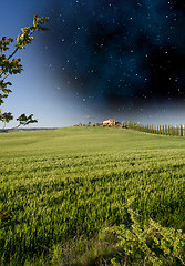 Image showing Field of Flowers during Spring time