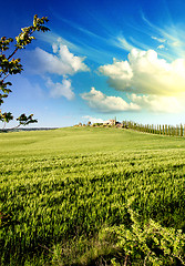 Image showing Meadows of Tuscany in Spring Season