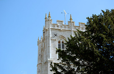 Image showing Behind the Tree