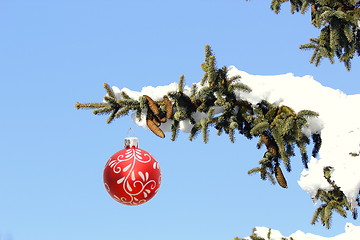 Image showing christmas tree full of snow