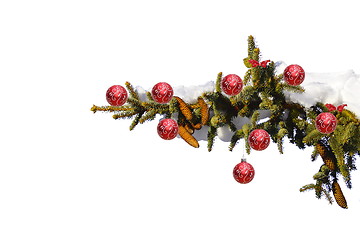 Image showing decorated fir branch