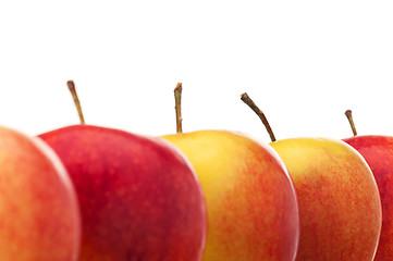 Image showing Fresh apple