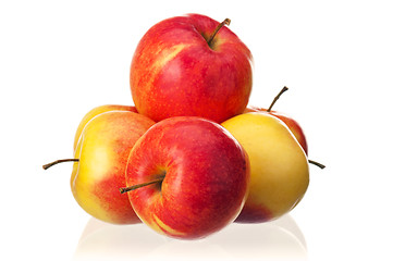 Image showing Fresh apple
