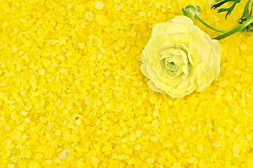 Image showing Salt yellow with flower