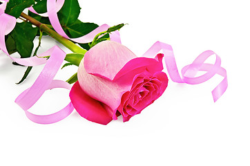 Image showing Rose pink with ribbon