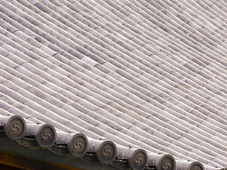 Image showing Temple Roof