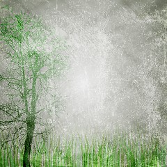 Image showing Grunge nature texture