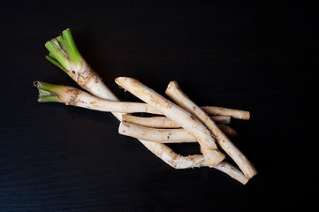 Image showing horseradish