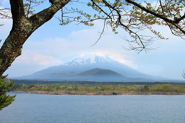 Image showing Fuji, Japan