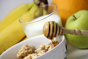 Image showing Muesli with honey and fruits