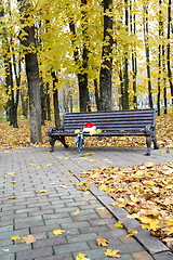 Image showing Santa's cap in the autumn park.