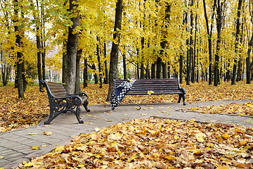 Image showing Opened umbrella near the bench. 