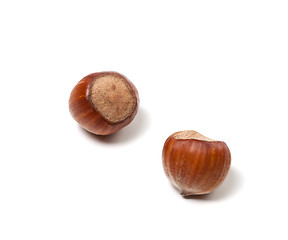 Image showing Two brown hazelnuts