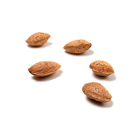 Image showing Raw almonds on white background
