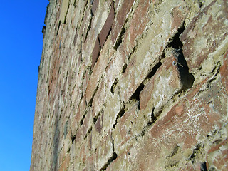 Image showing red brick wall