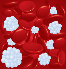 Image showing Blood cell types 