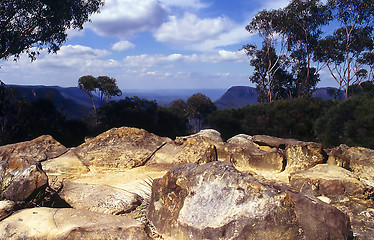 Image showing Blue Mountains vista,  Australia