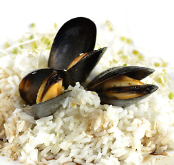 Image showing Mussels