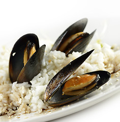 Image showing Mussels