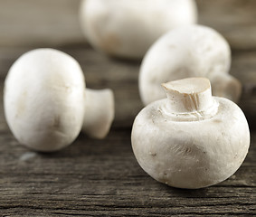 Image showing White Mushrooms