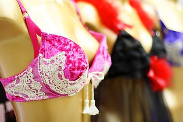 Image showing Lingerie shop