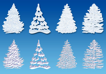 Image showing Snow tree