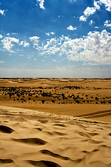 Image showing  dune in the sahara desert