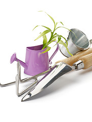 Image showing Purple Watering Can with Green Plant