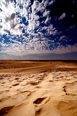 Image showing dune sahara