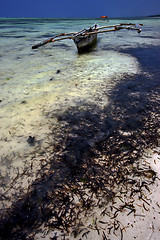 Image showing beach seaweed  and boat in tanzania zanzibar