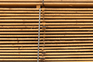 Image showing Stacked up wood