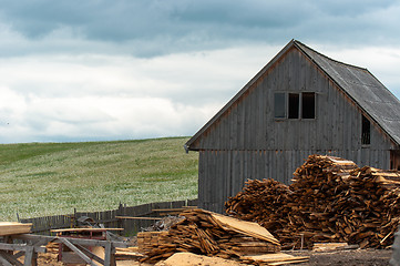 Image showing Wood industry outdoors