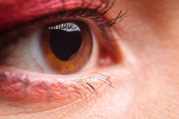 Image showing Eye of a woman closeup