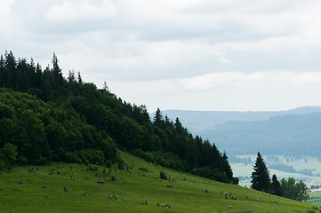 Image showing People traveling on the mountain