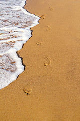 Image showing Footsteps on the beach