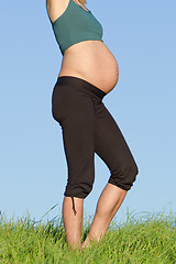 Image showing pregnant woman on meadow