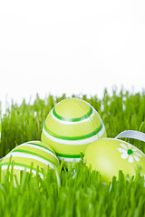 Image showing easter eggs in grass