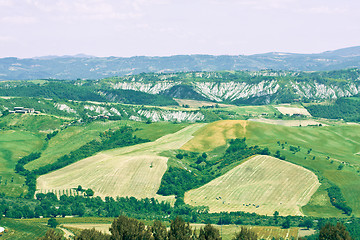 Image showing Typical Tuscan landscape